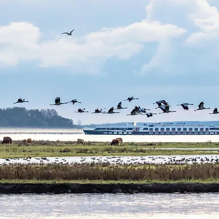 Toni's An Der Seebruecke